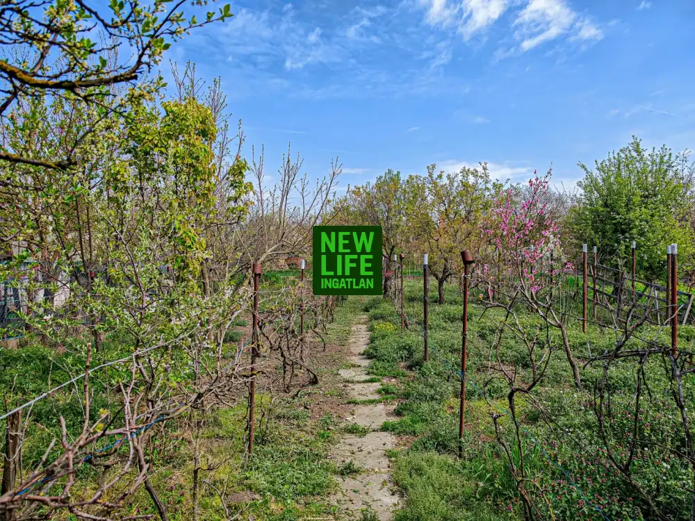 Fejér megye - Pusztaszabolcs