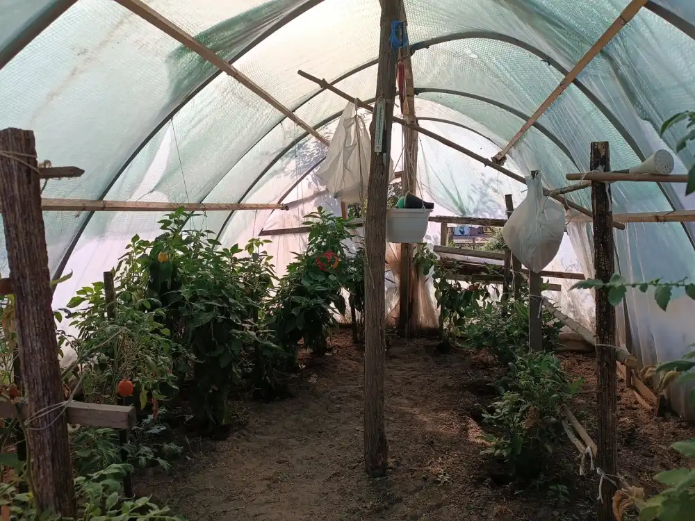 Pest megye - Pusztavacs