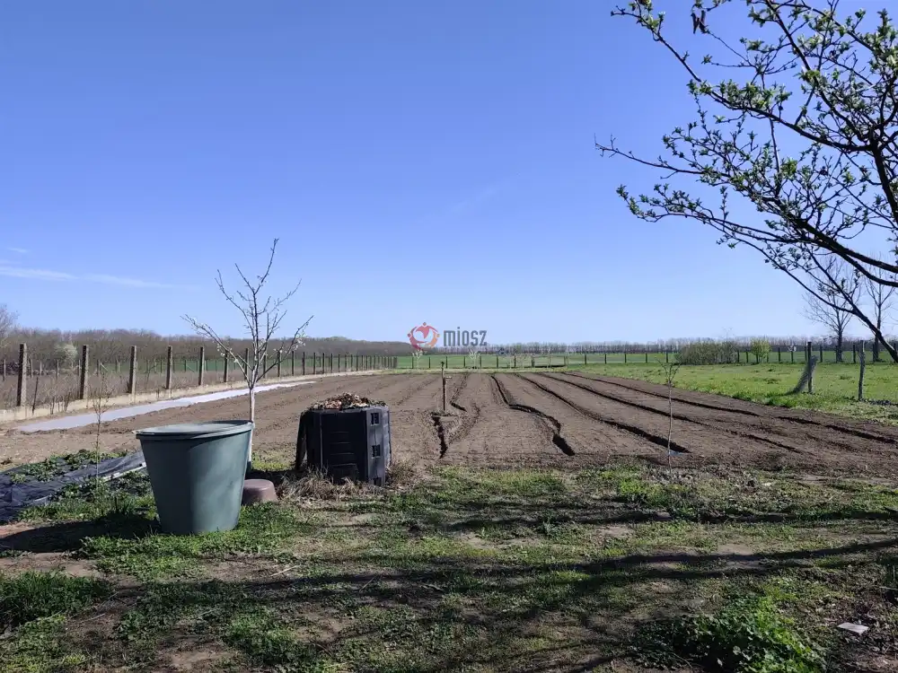 Pest megye - Pusztavacs