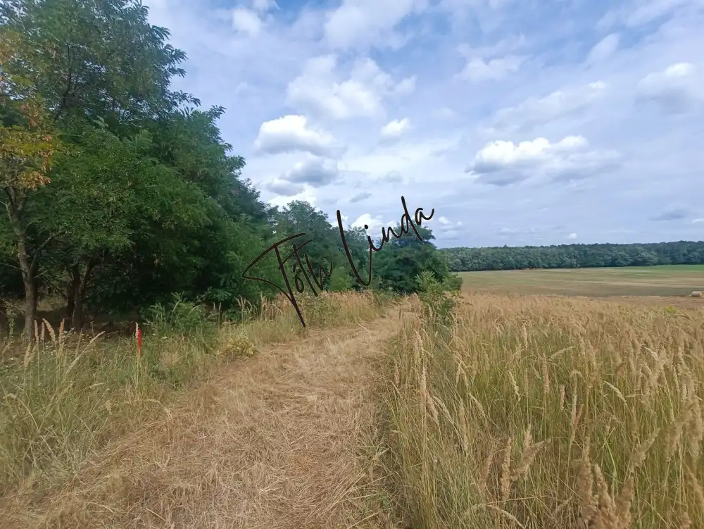 Fejér megye - Pusztavám
