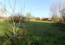 Pest megye - Ráckeve