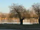 Pest megye - Ráckeve
