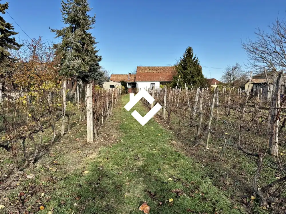 Pest megye - Ráckeve