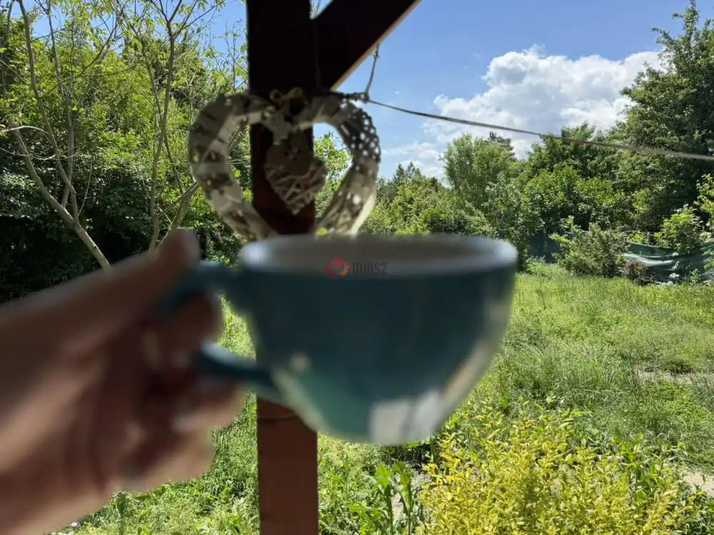 Pest megye - Ráckeve