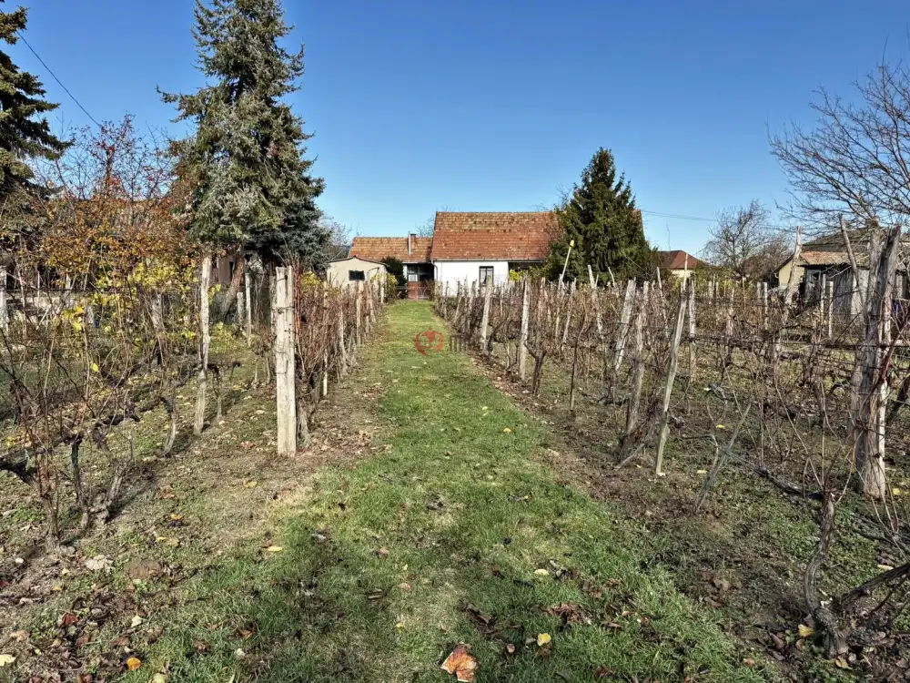 Pest megye - Ráckeve