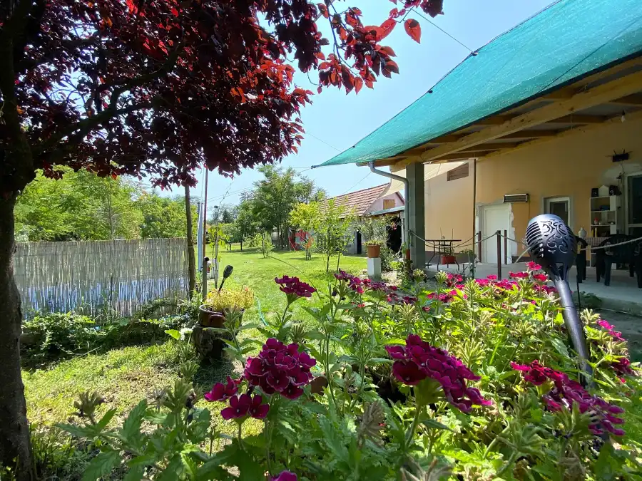 eladó családi ház, Ráckeve