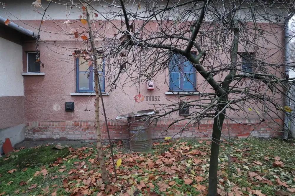 Csongrád megye - Sándorfalva