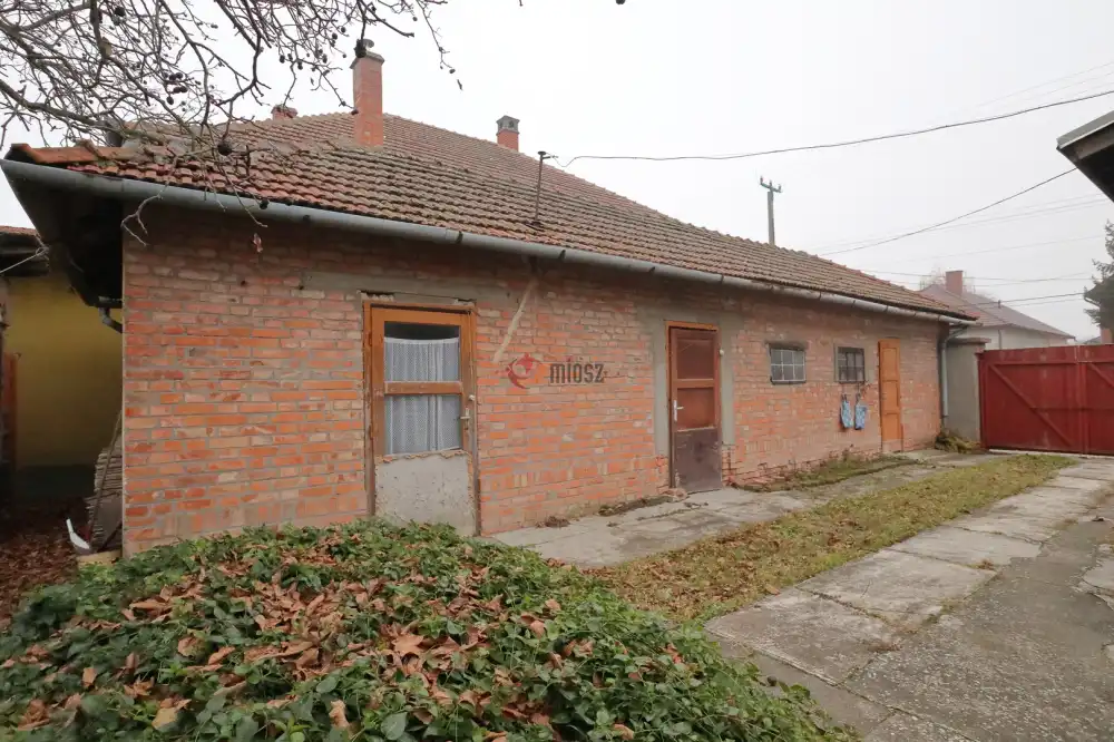 Csongrád megye - Sándorfalva