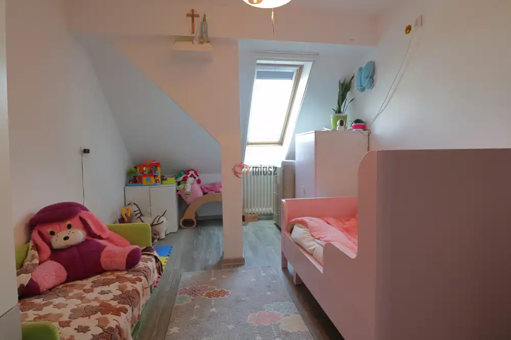 Csongrád megye - Sándorfalva