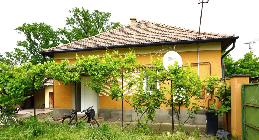 Csongrád megye - Sándorfalva