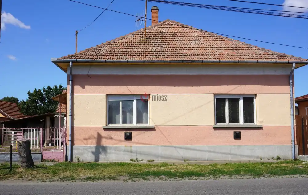 Csongrád megye - Sándorfalva