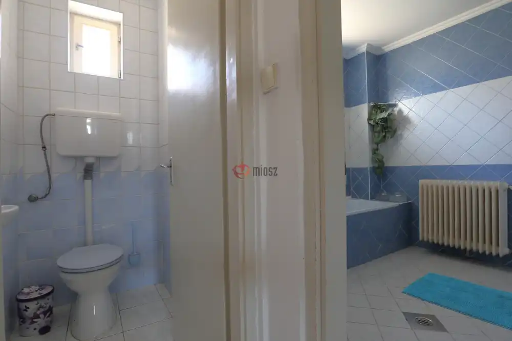 Csongrád megye - Sándorfalva