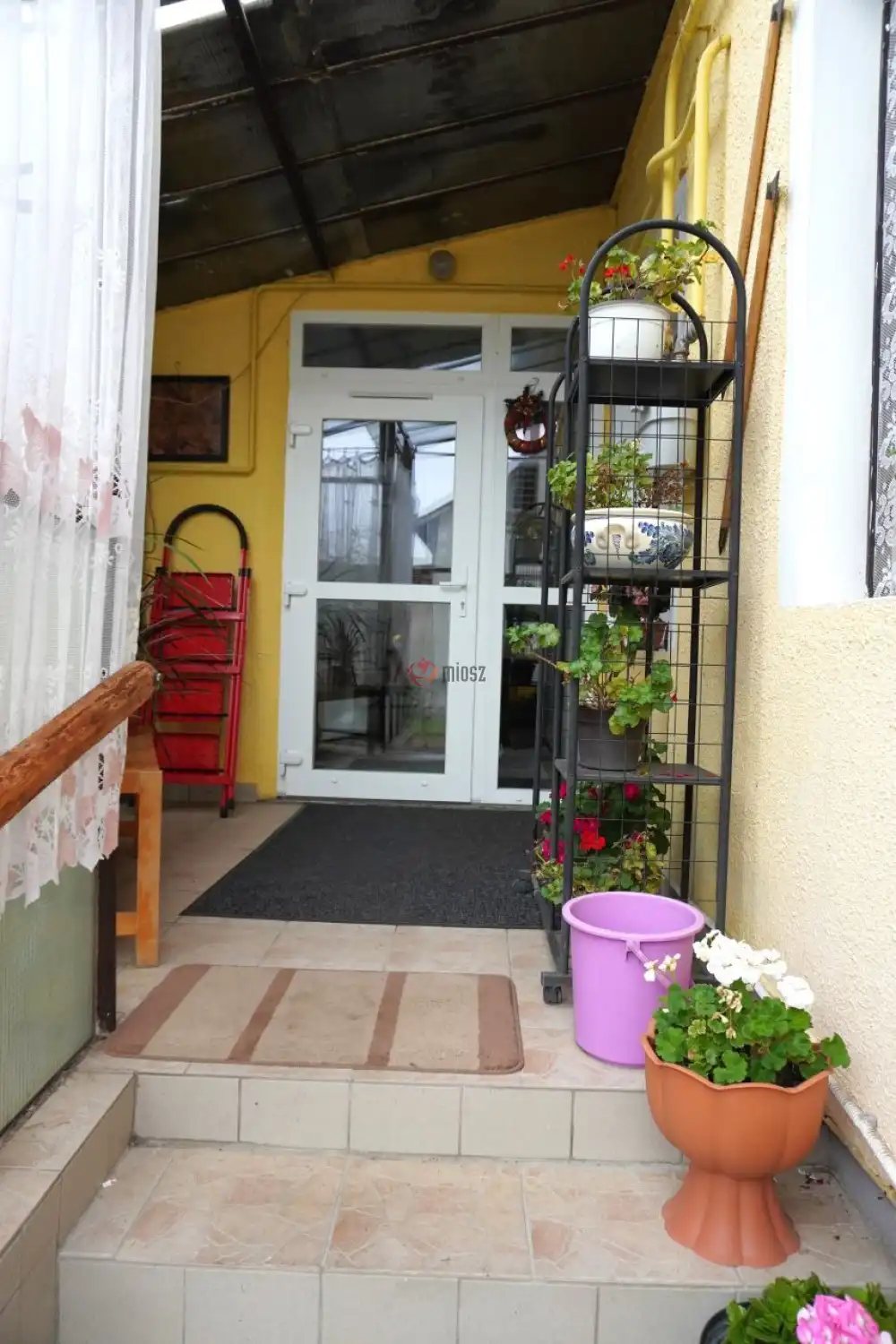 Csongrád megye - Sándorfalva