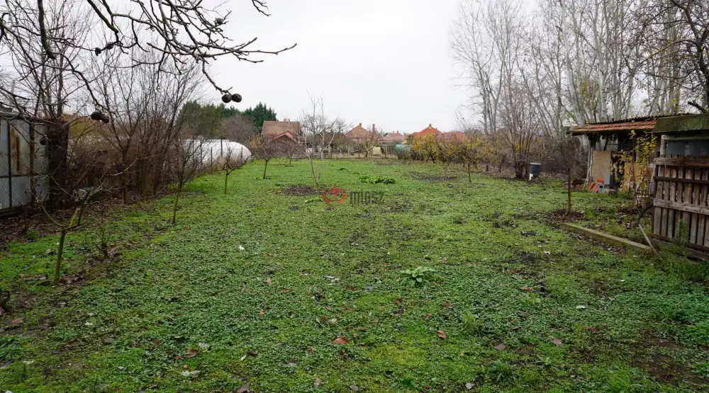 Csongrád megye - Sándorfalva