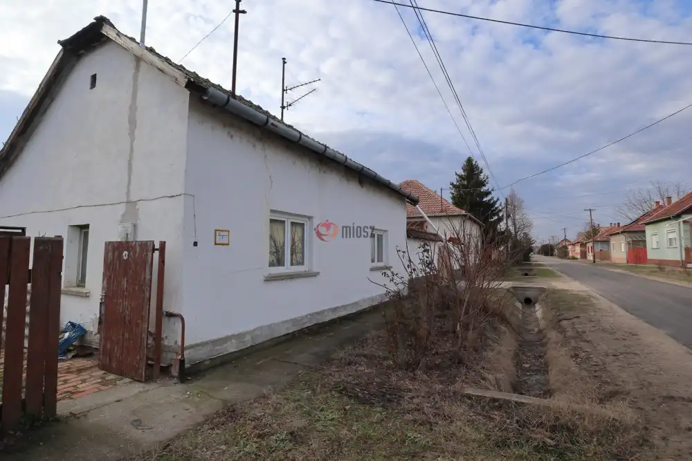 Csongrád megye - Sándorfalva