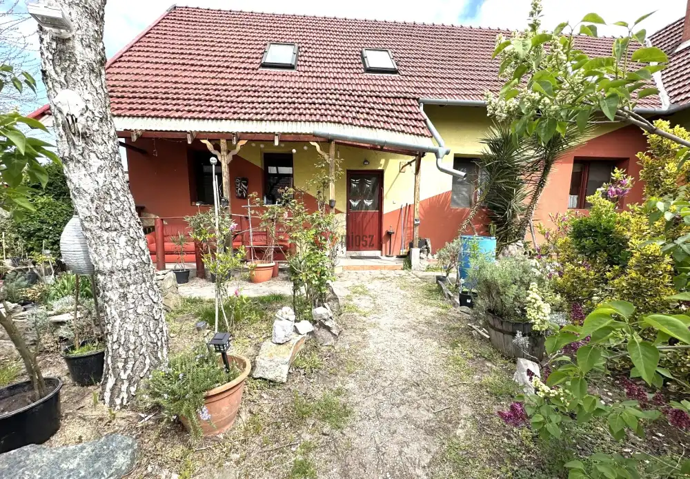 Csongrád megye - Sándorfalva