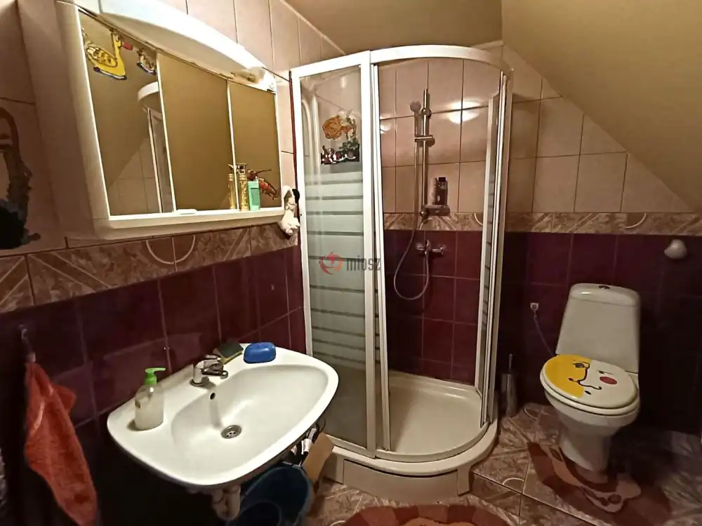 Csongrád megye - Sándorfalva