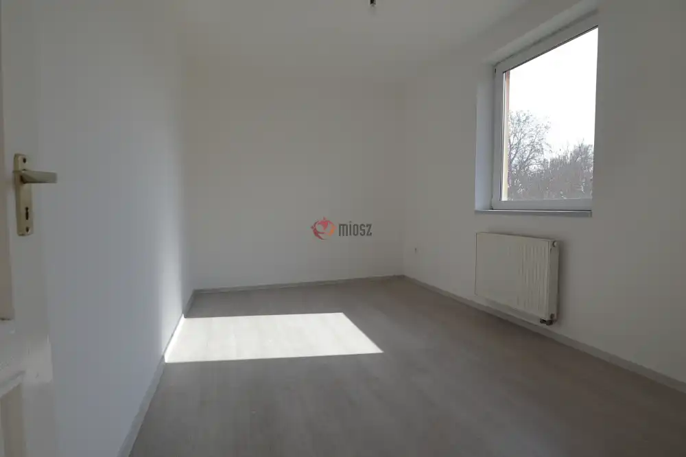 Csongrád megye - Sándorfalva