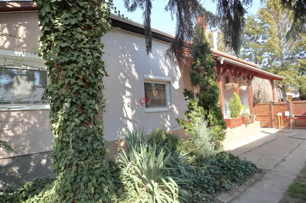 Csongrád megye - Sándorfalva