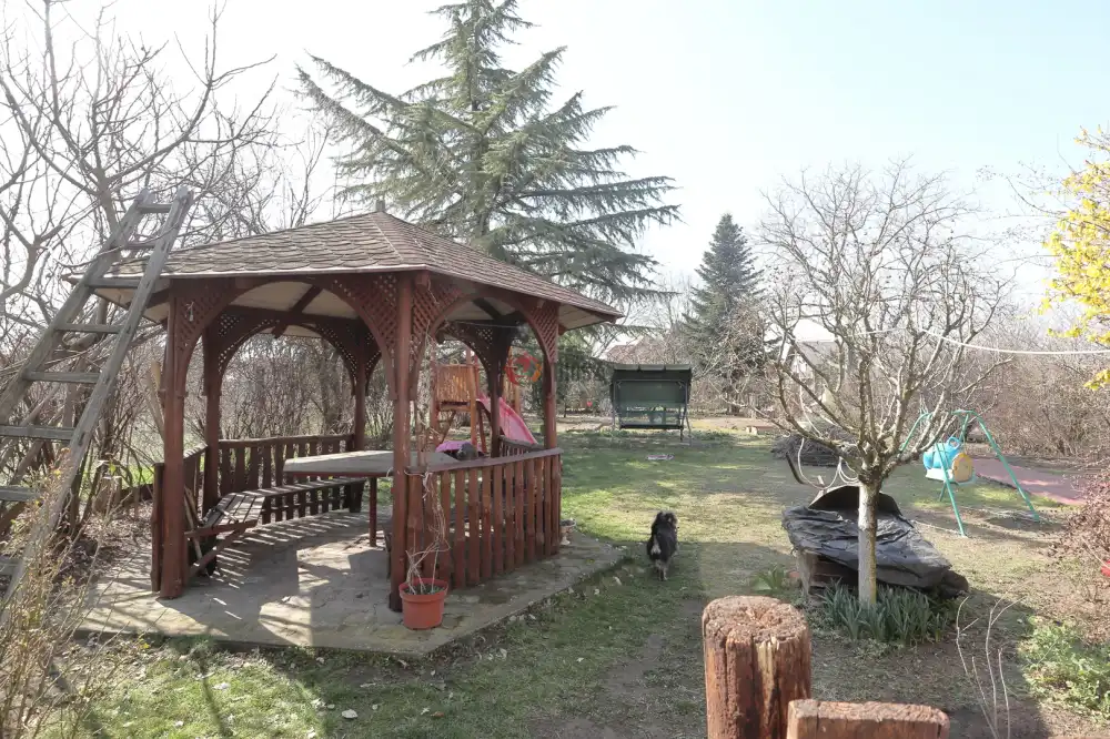 Csongrád megye - Sándorfalva