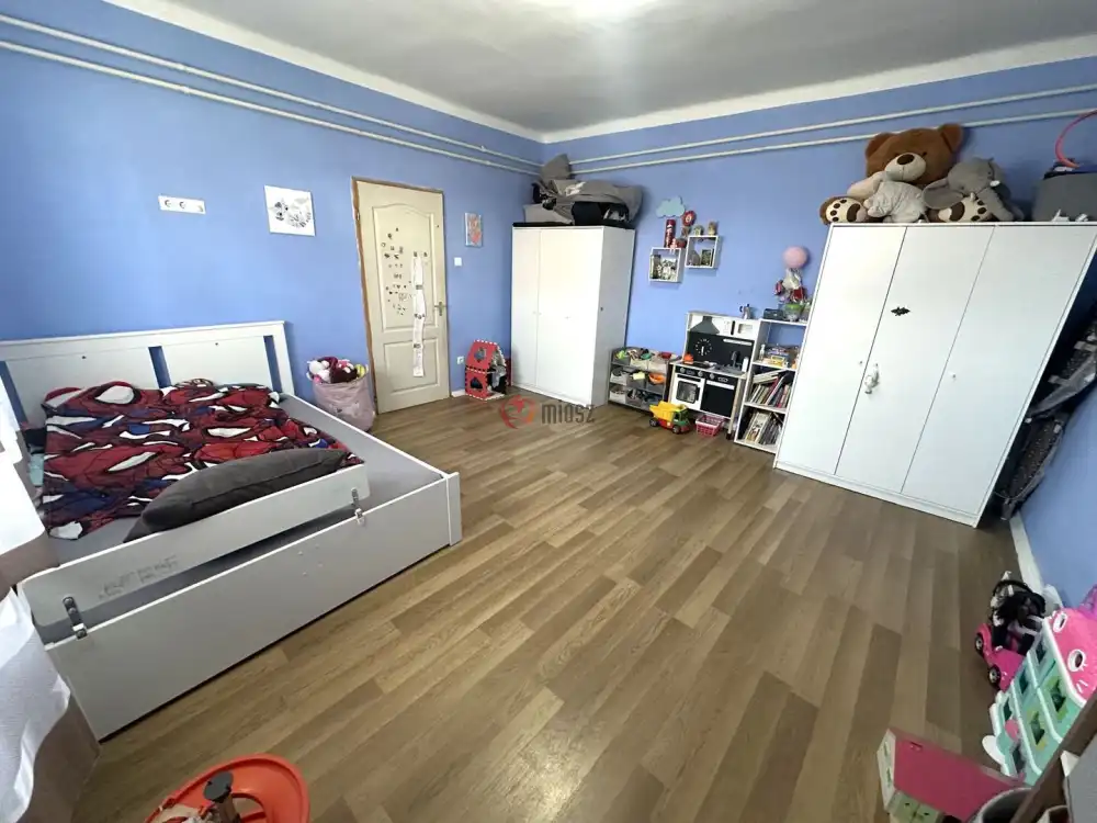 Csongrád megye - Sándorfalva