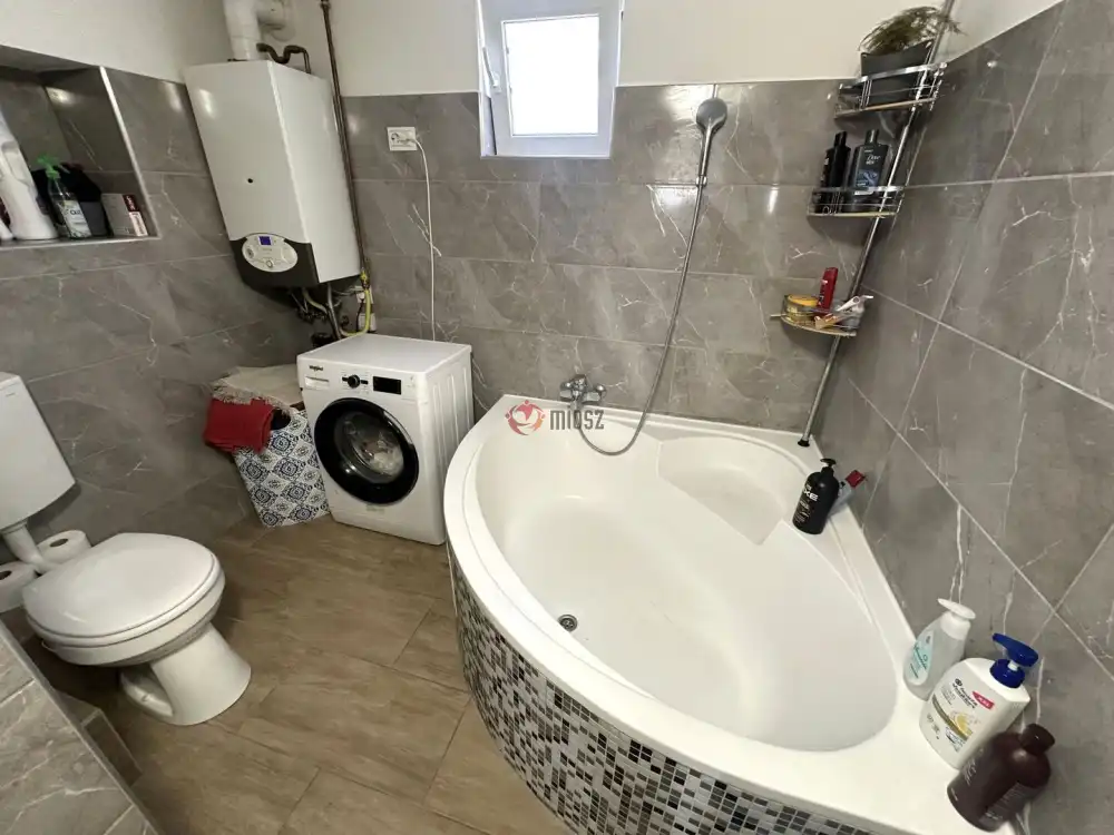 Csongrád megye - Sándorfalva