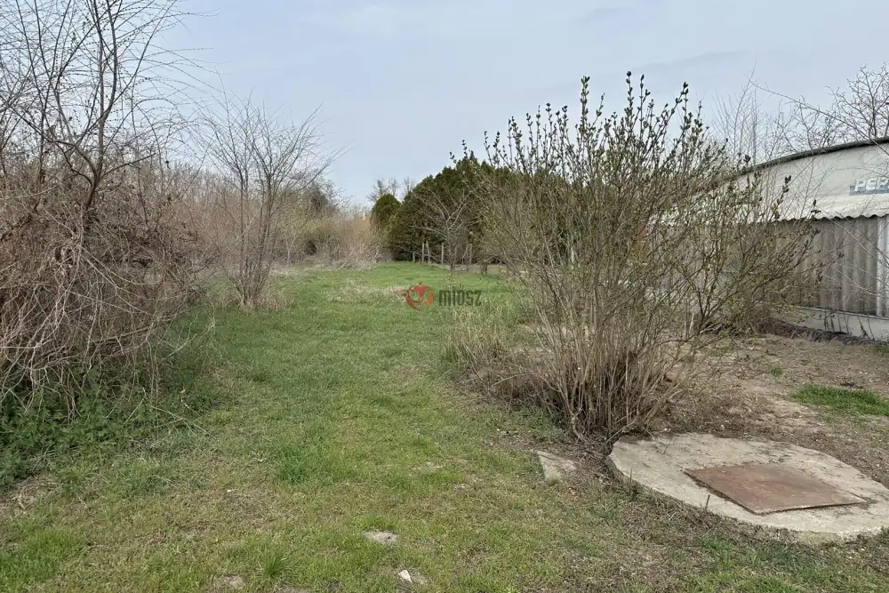 Csongrád megye - Sándorfalva