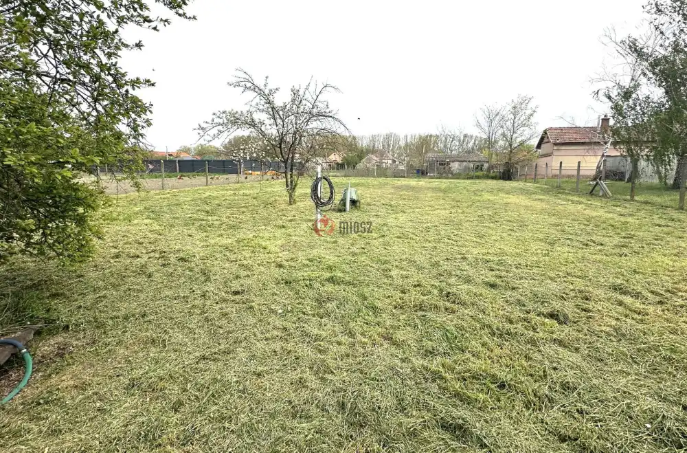 Csongrád megye - Sándorfalva