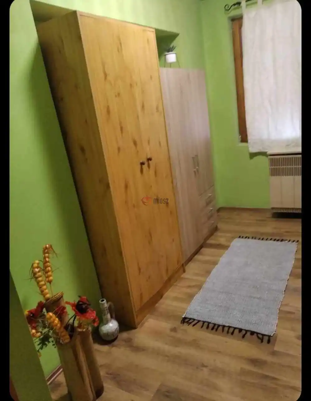 Csongrád megye - Sándorfalva