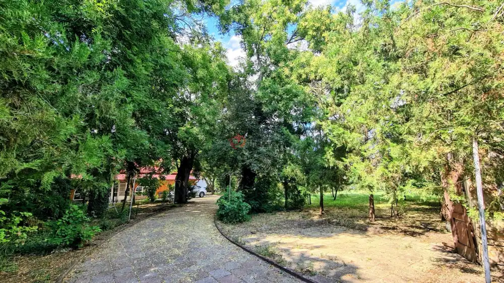 Fejér megye - Sárbogárd
