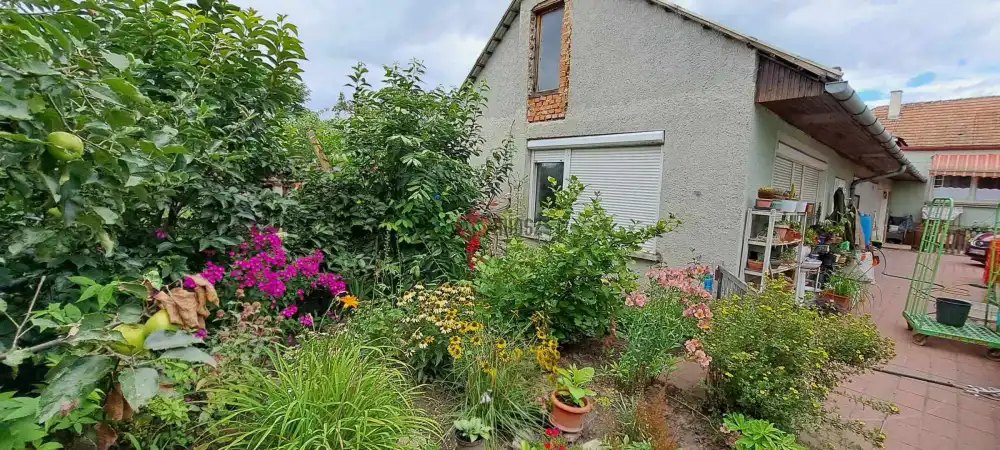 Győr-Moson-Sopron megye - Sarród