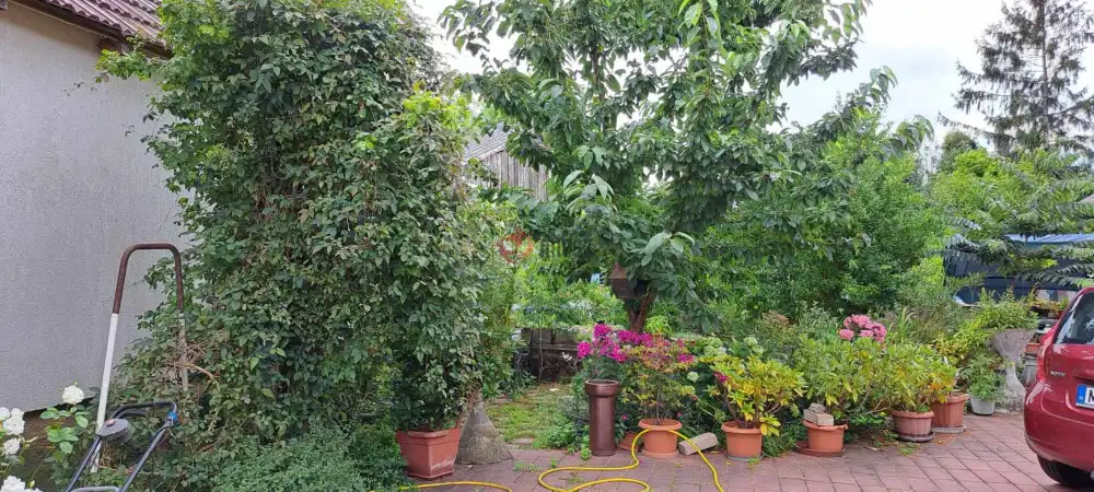 Győr-Moson-Sopron megye - Sarród