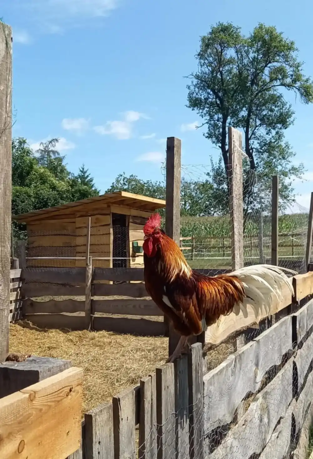 Veszprém megye - Sümegprága