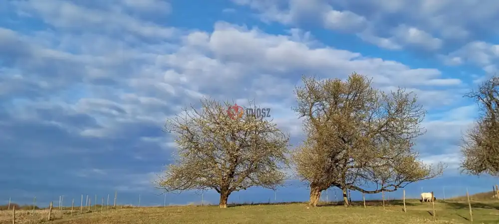 Veszprém megye - Sümegprága