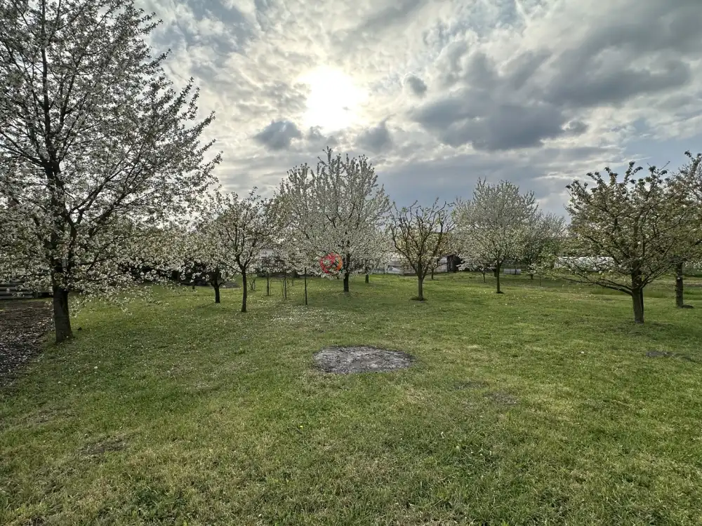 Fejér megye - Szabadbattyán