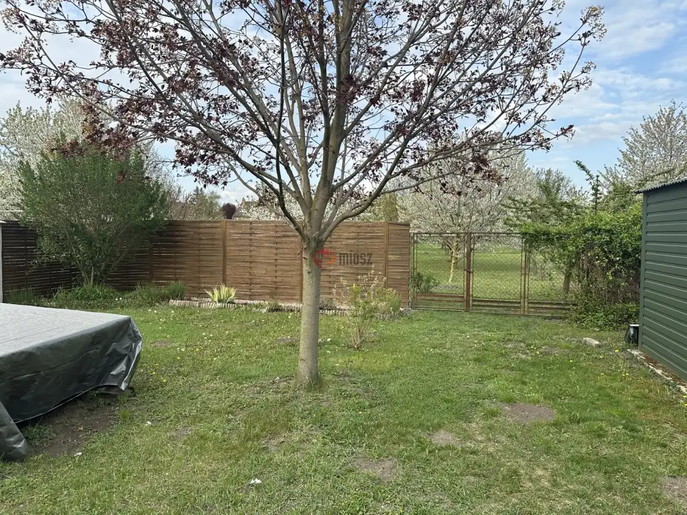 Fejér megye - Szabadbattyán