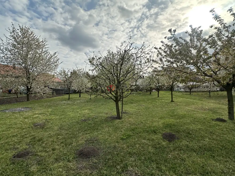 Fejér megye - Szabadbattyán