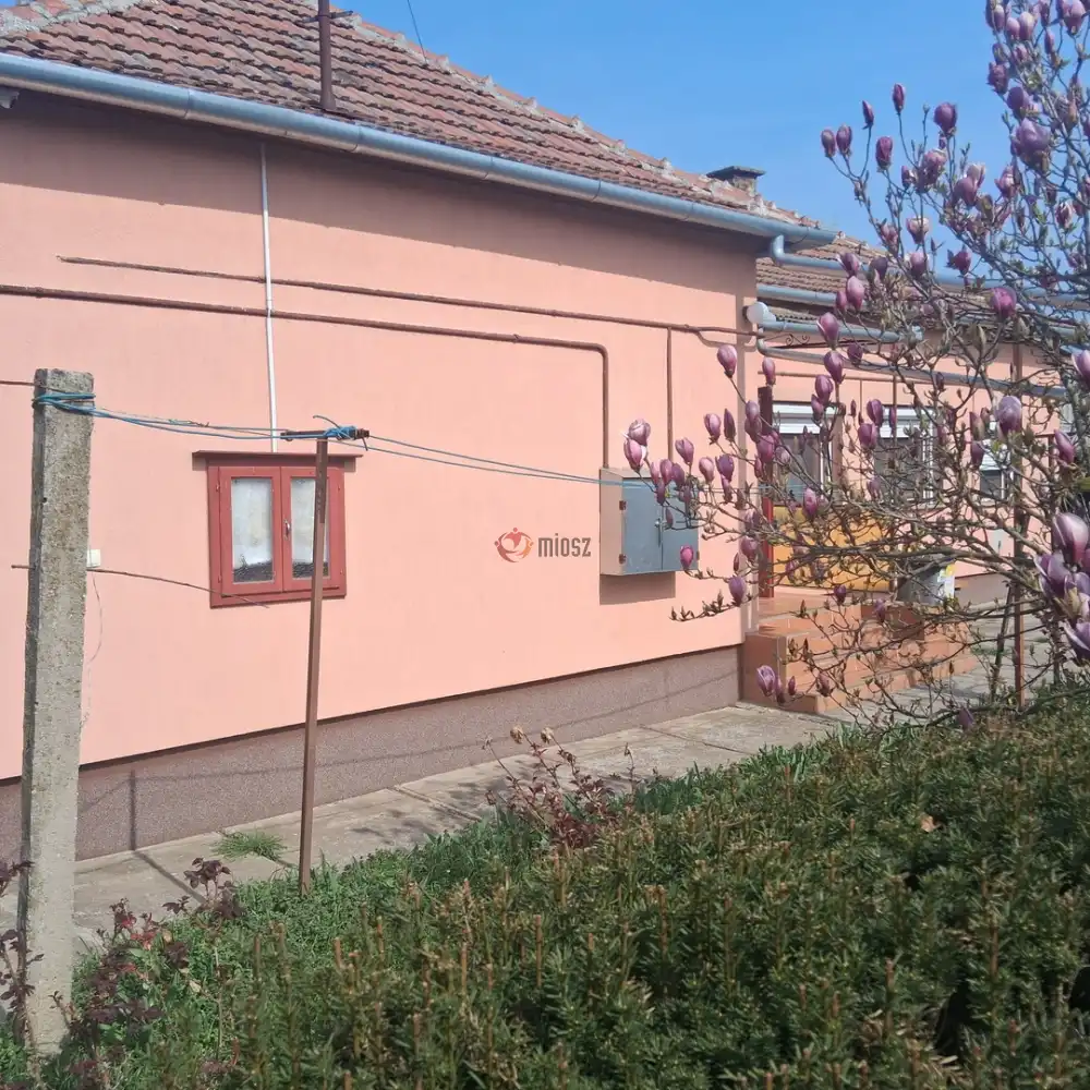 Békés megye - Szabadkígyós