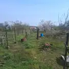 Békés megye - Szabadkígyós