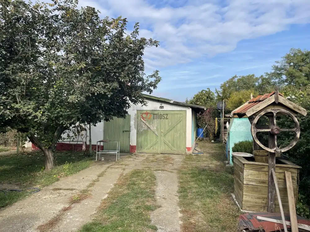 Békés megye - Szabadkígyós