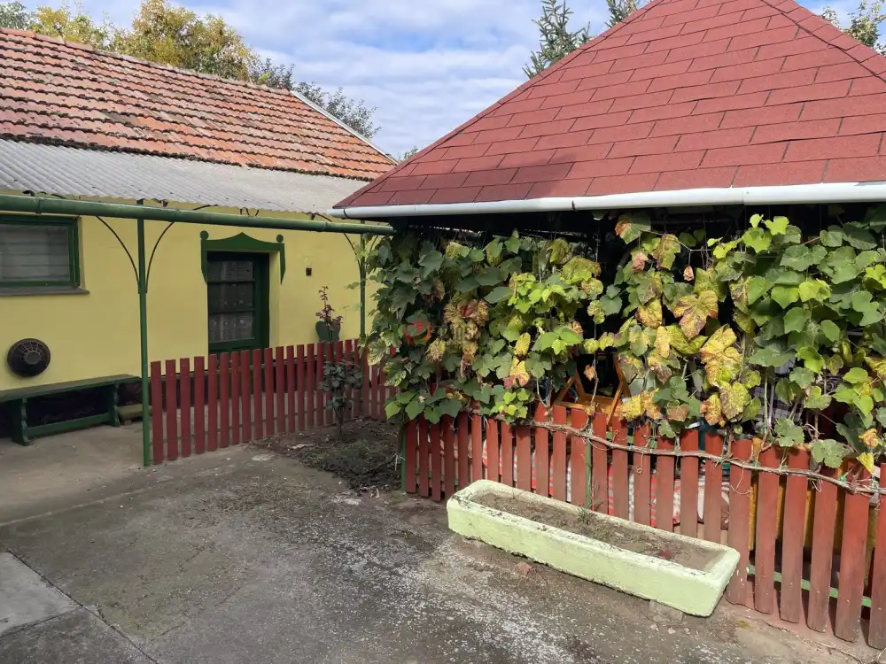 Békés megye - Szabadkígyós