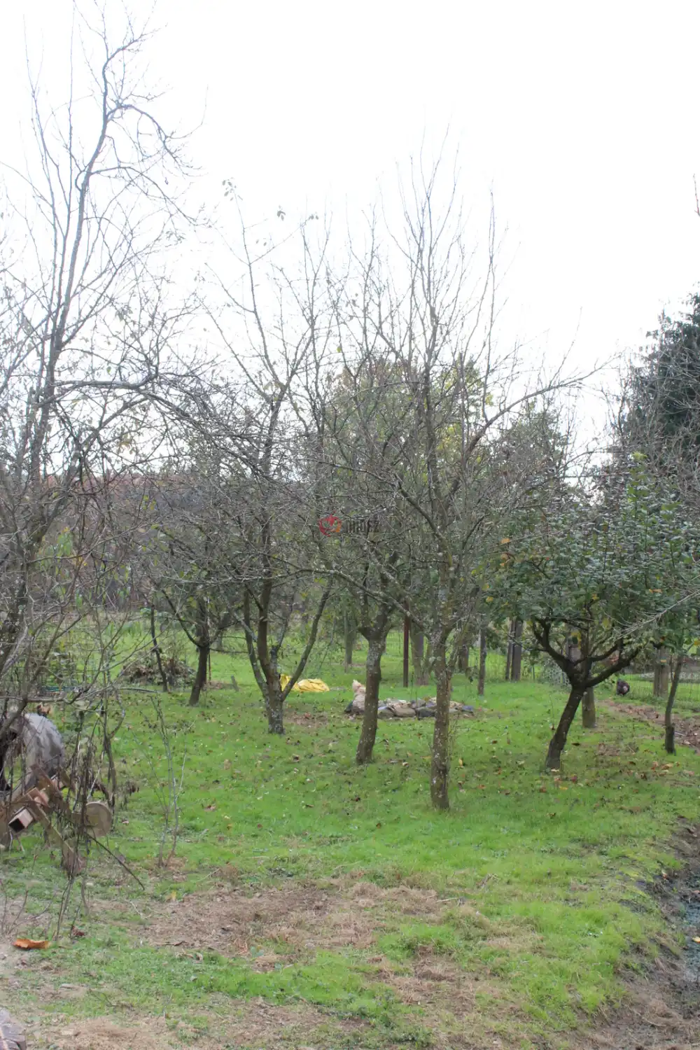 Vas megye - Szatta