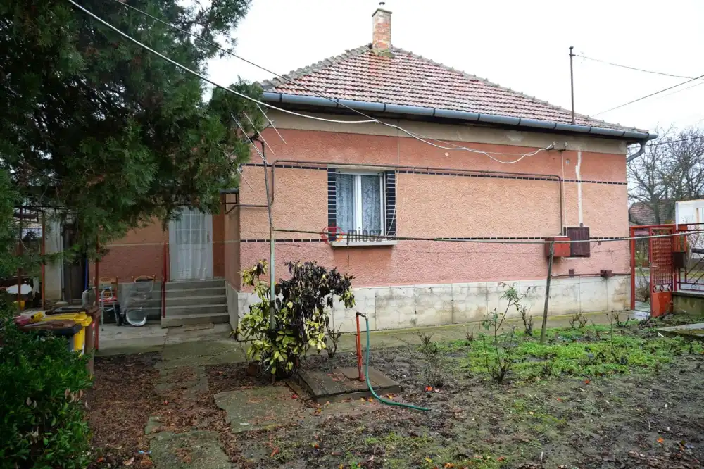 Csongrád megye - Szeged-Gyálarét