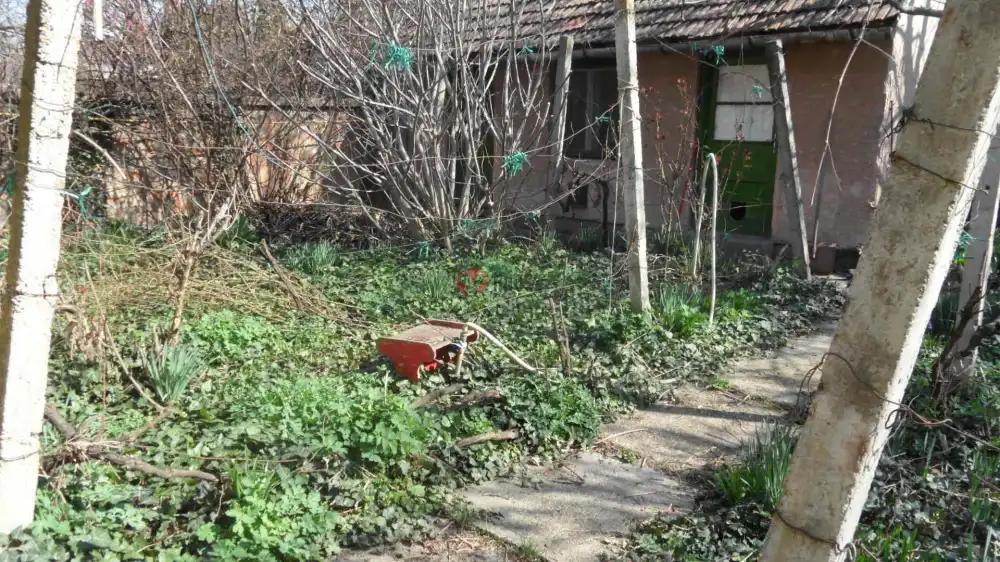 Csongrád megye - Szeged