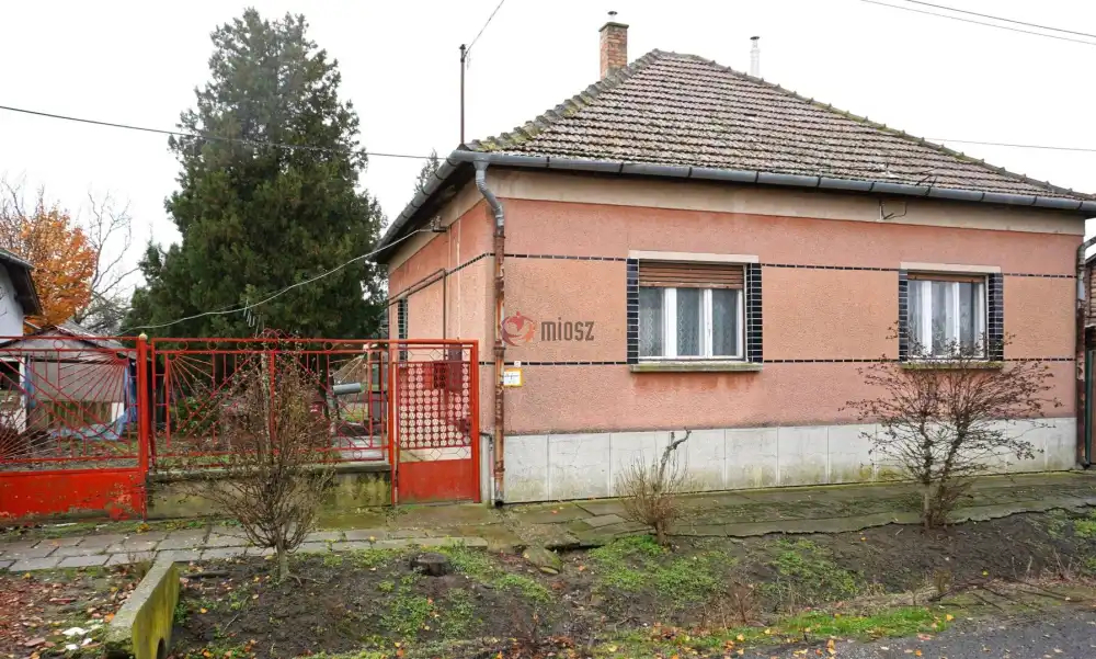 Csongrád megye - Szeged