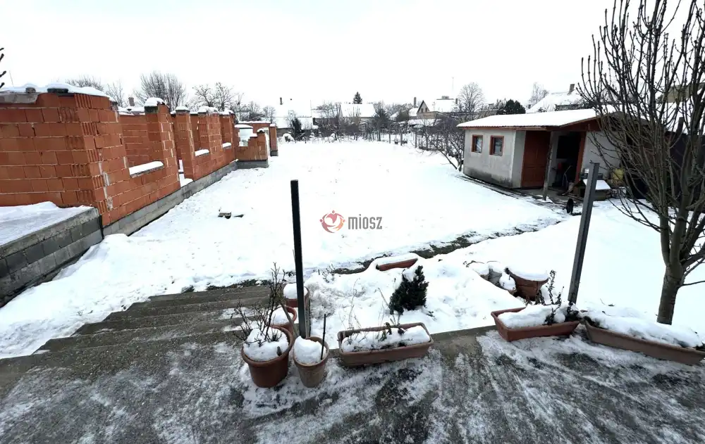 Csongrád megye - Szeged