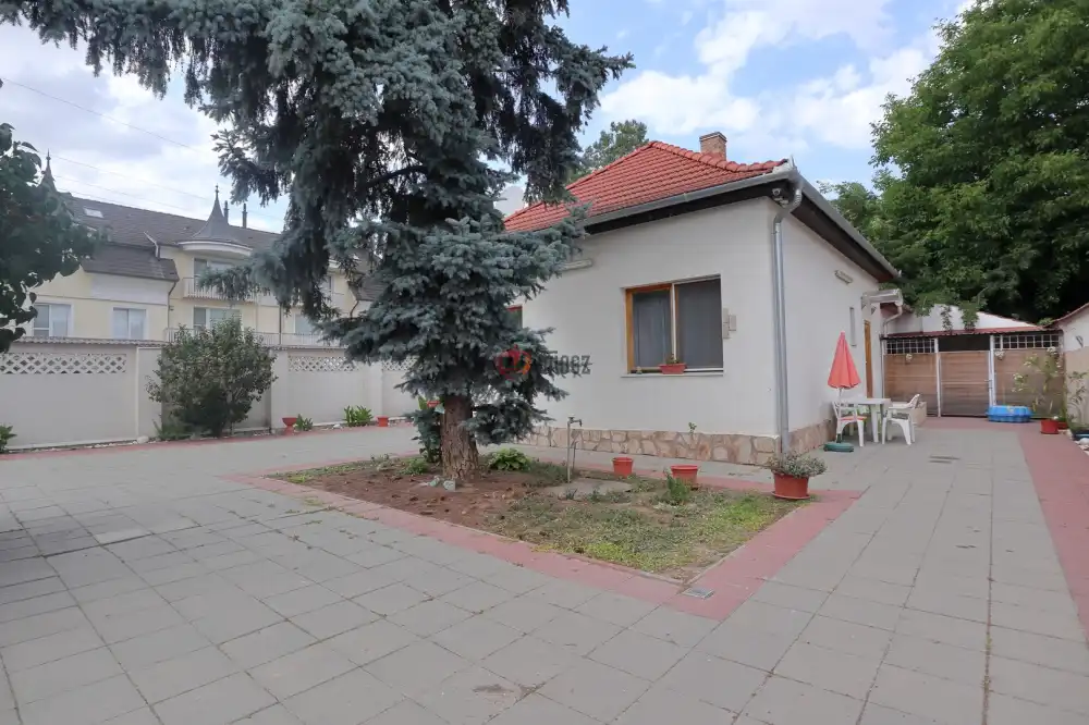 Csongrád megye - Szeged