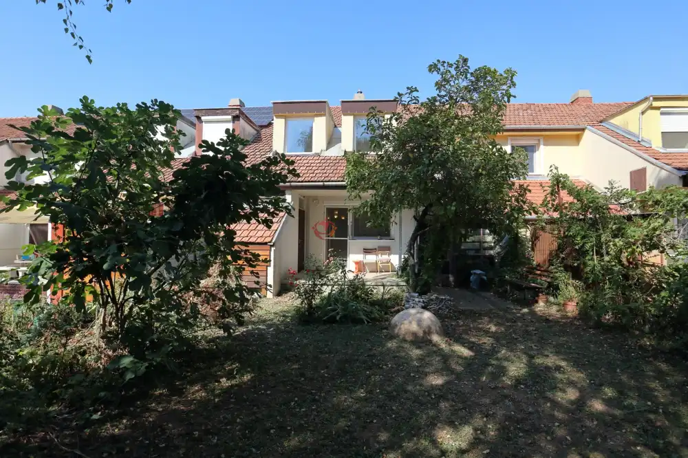 Csongrád megye - Szeged