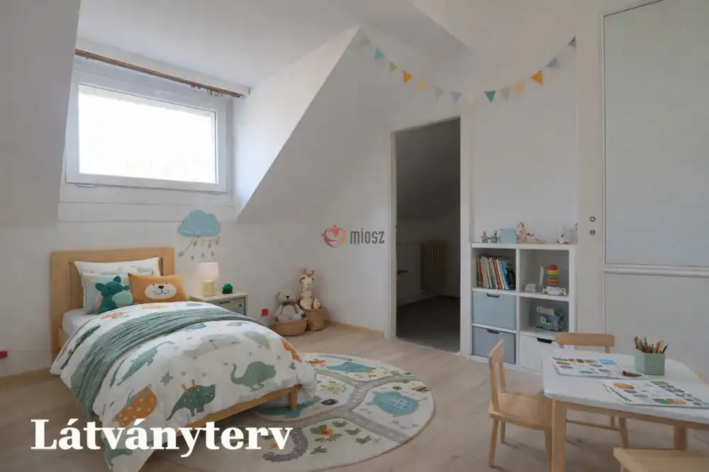 Csongrád megye - Szeged