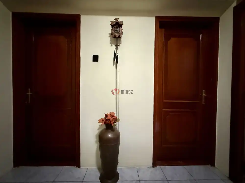 Csongrád megye - Szeged